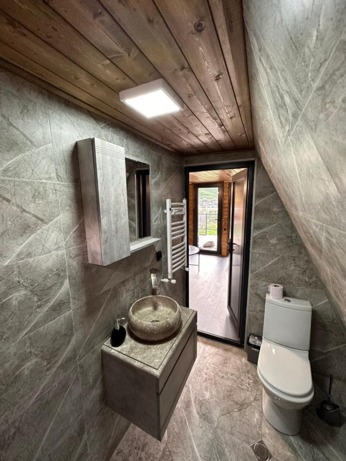 Alagi Cottage Kazbegi Exteriér fotografie