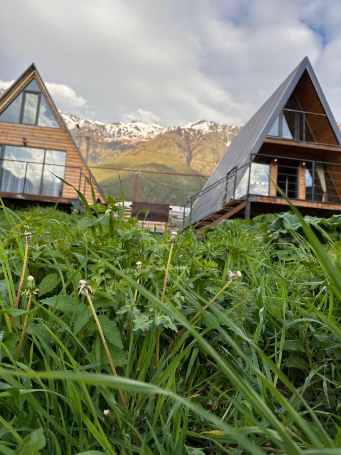 Alagi Cottage Kazbegi Exteriér fotografie